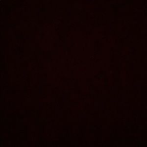 Meet your Posher, Gianna